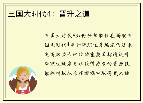 三国大时代4：晋升之道